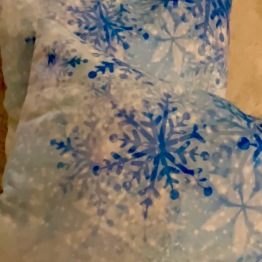 Elegant, Fleece, Decorative Pillows. Set of 2.
